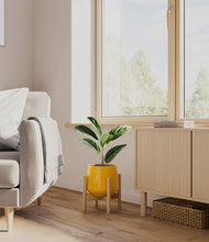Load image into Gallery viewer, Mustard stand:bamboo
