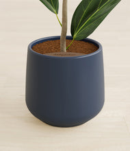 Load image into Gallery viewer, Deep Navy stand:all
