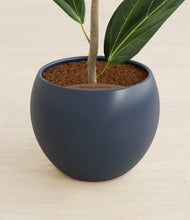 Load image into Gallery viewer, Deep Navy stand:all
