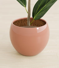 Load image into Gallery viewer, Calm Rose stand:all
