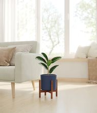 Load image into Gallery viewer, Deep Navy stand:walnut
