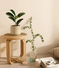 Load image into Gallery viewer, Almond Green
