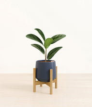Load image into Gallery viewer, Deep Navy stand:bamboo
