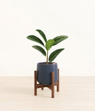 Load image into Gallery viewer, Deep Navy stand:walnut
