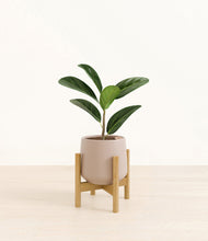 Load image into Gallery viewer, Eternal Gray stand:bamboo
