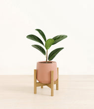 Load image into Gallery viewer, Calm Rose stand:bamboo
