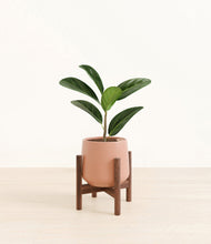 Load image into Gallery viewer, Calm Rose stand:walnut
