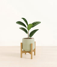 Load image into Gallery viewer, Turquoise stand:bamboo
