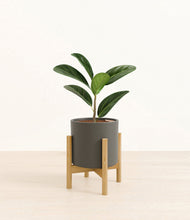 Load image into Gallery viewer, Dark Olive stand:bamboo
