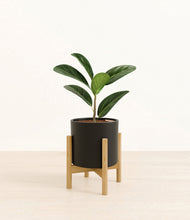 Load image into Gallery viewer, Black stand:bamboo
