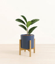 Load image into Gallery viewer, Deep Navy stand:bamboo
