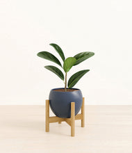 Load image into Gallery viewer, Deep Navy stand:bamboo
