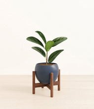 Load image into Gallery viewer, Deep Navy stand:walnut
