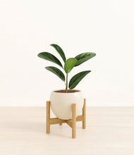 Load image into Gallery viewer, Shiny EggWhite stand:bamboo
