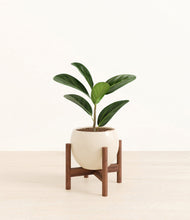 Load image into Gallery viewer, Shiny EggWhite stand:walnut
