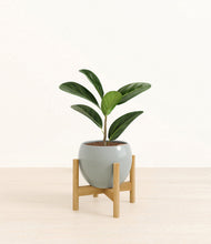 Load image into Gallery viewer, Deep Ocean stand:bamboo
