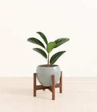 Load image into Gallery viewer, Deep Ocean stand:walnut
