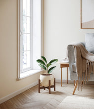 Load image into Gallery viewer, Shiny EggWhite stand:walnut
