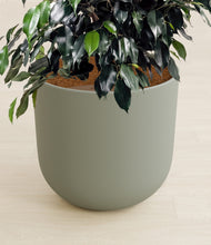 Charger l'image dans la galerie, Sage Green stand:all
