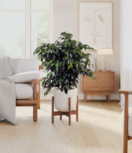 Charger l'image dans la galerie, Natural Bamboo stand:dark
