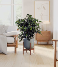 Charger l'image dans la galerie, Sage Green stand:dark
