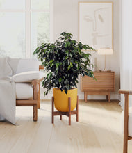 Charger l'image dans la galerie, Sunset Orange stand:dark
