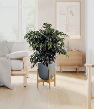 Charger l'image dans la galerie, Sage Green stand:light
