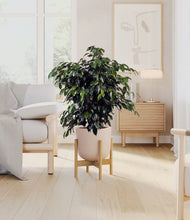 Charger l'image dans la galerie, Sandy Pink stand:light
