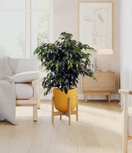 Charger l'image dans la galerie, Sunset Orange stand:light
