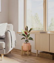Load image into Gallery viewer, Calm Rose stand:bamboo
