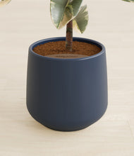 Load image into Gallery viewer, Deep Navy stand:all

