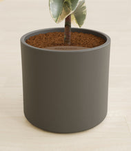 Load image into Gallery viewer, Dark Olive stand:all
