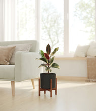 Load image into Gallery viewer, Black stand:walnut
