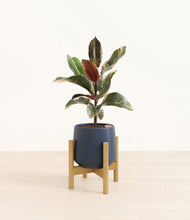 Load image into Gallery viewer, Deep Navy stand:bamboo
