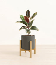 Load image into Gallery viewer, Dark Olive stand:bamboo
