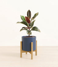 Load image into Gallery viewer, Deep Navy stand:bamboo

