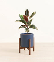 Load image into Gallery viewer, Deep Navy stand:walnut
