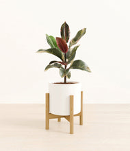 Load image into Gallery viewer, White stand:bamboo
