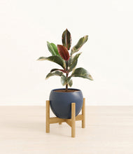 Load image into Gallery viewer, Deep Navy stand:bamboo
