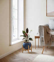 Load image into Gallery viewer, Deep Navy stand:bamboo
