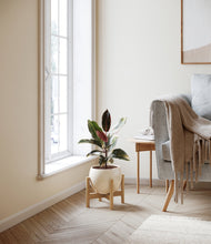 Load image into Gallery viewer, Shiny EggWhite stand:bamboo
