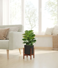 Load image into Gallery viewer, Black stand:walnut
