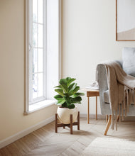Load image into Gallery viewer, Shiny EggWhite stand:walnut
