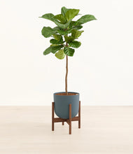 Load image into Gallery viewer, Iron Gray stand:dark
