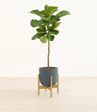 Load image into Gallery viewer, Iron Gray stand:light
