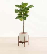 Load image into Gallery viewer, Natural Bamboo stand:dark
