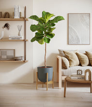 Load image into Gallery viewer, Iron Gray stand:light
