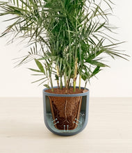 Load image into Gallery viewer, Iron Gray stand:all
