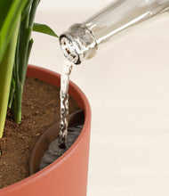 Load image into Gallery viewer, Earth Red stand:all
