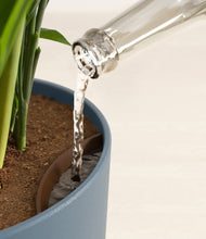 Load image into Gallery viewer, Iron Gray stand:all
